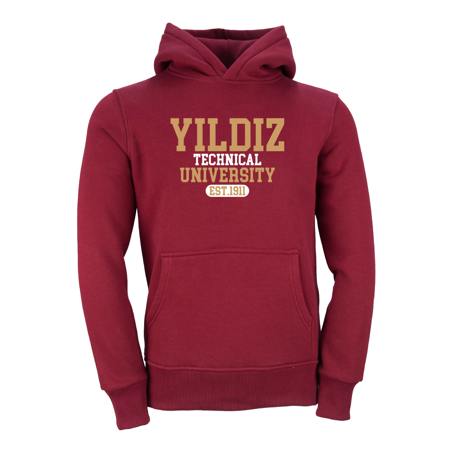 Yıldız Teknik Üniversitesi Model 4 Hoodie